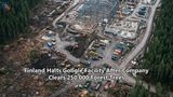 Finland Halts Google Facility After Company Clears 250,000 Forest Trees