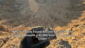Why Scientists Found Ancient Fossilized Life Trapped Beneath a 42,000-Year-Old Asteroid Crater