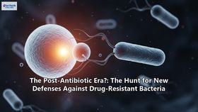 The Post-Antibiotic Era?: The Hunt for New Defenses Against Drug-Resistant Bacteria