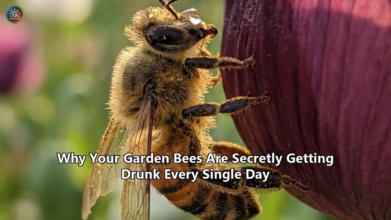 Why Your Garden Bees Are Secretly Getting Drunk Every Single Day