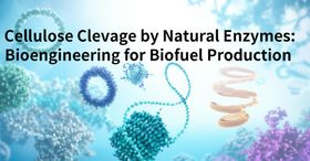 Cellulose Cleavage by Natural Enzymes: Bioengineering for Biofuel Production