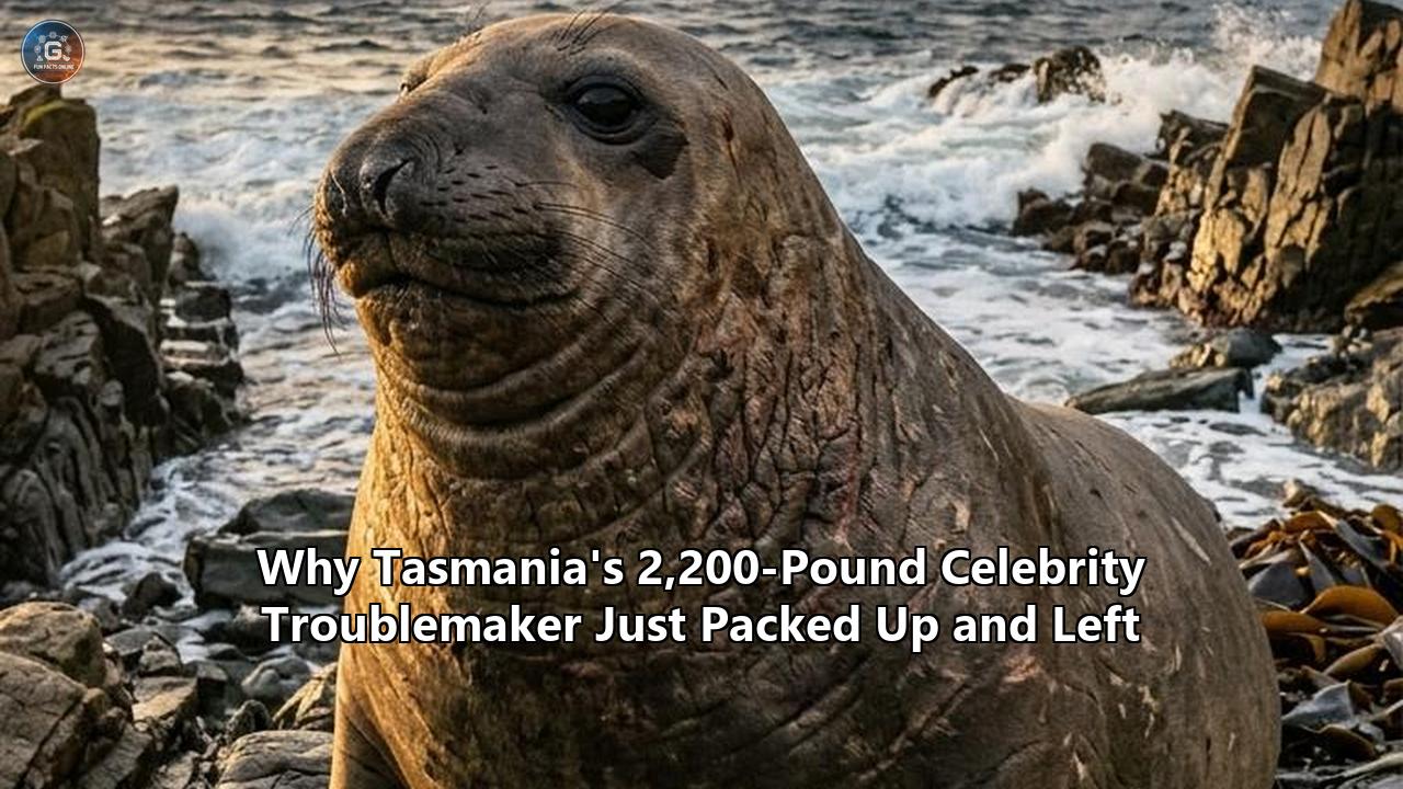 Why Tasmania's 2,200-Pound Celebrity Troublemaker Just Packed Up and Left