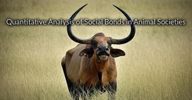 Quantitative Analysis of Social Bonds in Animal Societies
