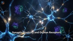 Synaptic Plasticity and Orphan Receptors