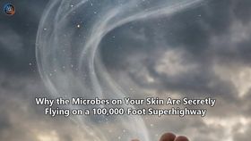 Why the Microbes on Your Skin Are Secretly Flying on a 100,000-Foot Superhighway
