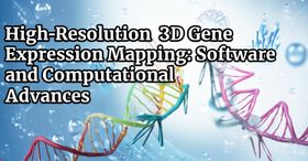 High-Resolution 3D Gene Expression Mapping: Software and Computational Advances