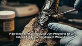 How Neanderthal Tool Glue Just Proved to Be a Potent Antibiotic for Ancient Wounds