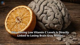 Why Having Low Vitamin C Levels Is Directly Linked to Losing Brain Gray Matter