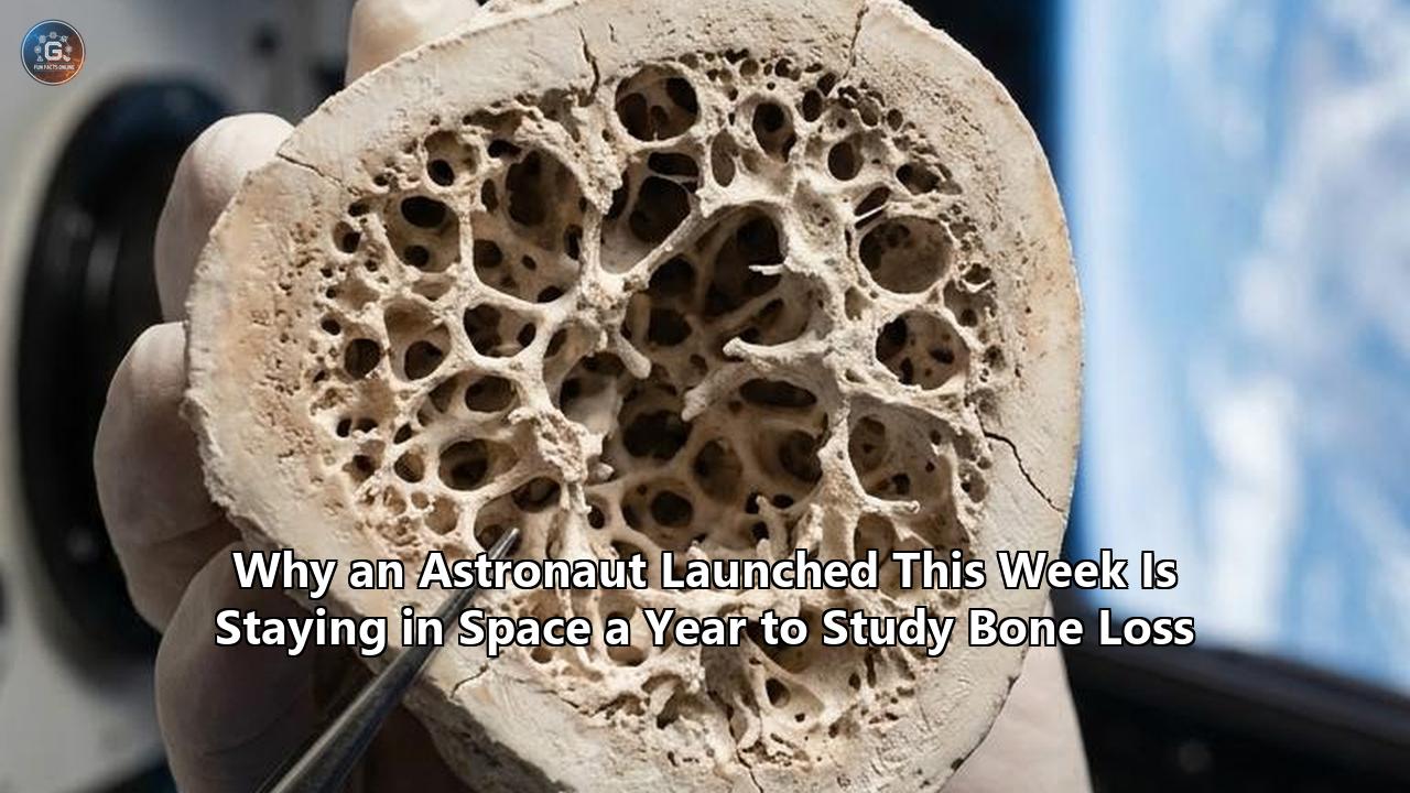 Why an Astronaut Launched This Week Is Staying in Space a Year to Study Bone Loss