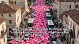 Why Thousands of Inflatable Flamingos Are Suddenly Flooding the Streets of Albania This Week