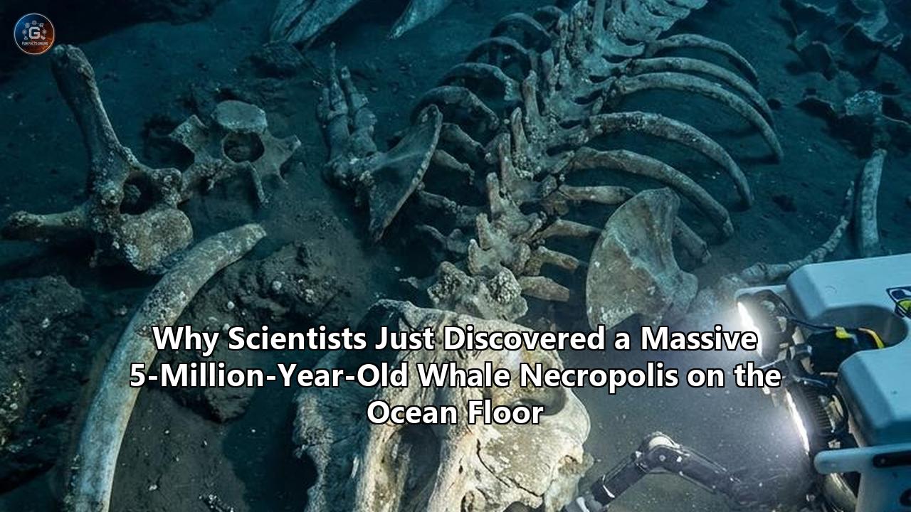 Why Scientists Just Discovered a Massive 5-Million-Year-Old Whale Necropolis on the Ocean Floor