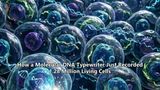 How a Molecular DNA Typewriter Just Recorded 1.28 Million Living Cells