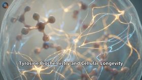 Tyrosine Biochemistry and Cellular Longevity