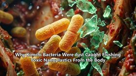 Why Kimchi Bacteria Were Just Caught Flushing Toxic Nanoplastics From the Body