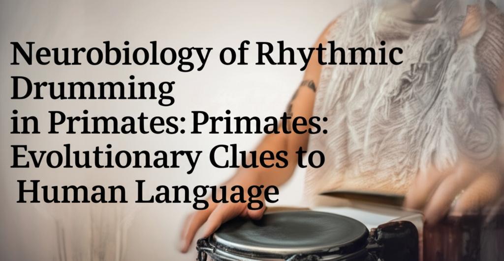 Neurobiology of Rhythmic Drumming in Primates: Evolutionary Clues to Human Language