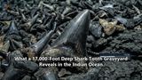 What a 17,000-Foot Deep Shark Tooth Graveyard Reveals in the Indian Ocean