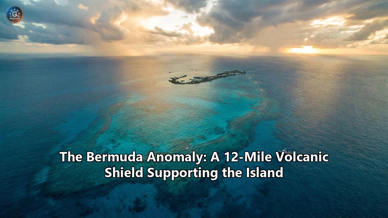The Bermuda Anomaly: A 12-Mile Volcanic Shield Supporting the Island