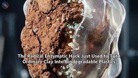 The Radical Enzymatic Hack Just Used to Turn Ordinary Clay Into Biodegradable Plastics
