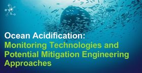 Ocean Acidification: Monitoring Technologies and Potential Mitigation Engineering Approaches