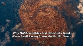 Why NASA Satellites Just Detected a Giant Warm Swell Racing Across the Pacific Ocean