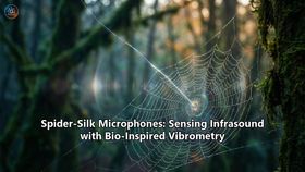 Spider-Silk Microphones: Sensing Infrasound with Bio-Inspired Vibrometry