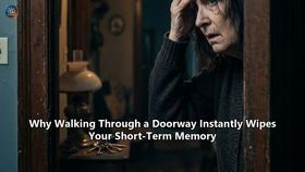 Why Walking Through a Doorway Instantly Wipes Your Short-Term Memory