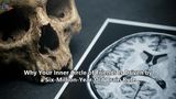 Why Your Inner Circle of Friends Is Driven by a Six-Million-Year-Old Brain Rule