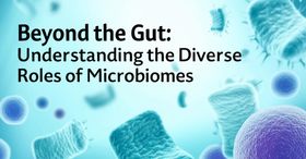 Beyond the Gut: Understanding the Diverse Roles of Microbiomes