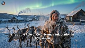 Life at the Pole of Cold: Human Adaptation in Oymyakon
