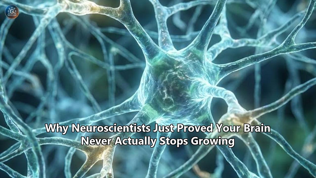 Why Neuroscientists Just Proved Your Brain Never Actually Stops Growing