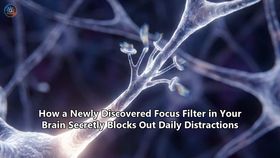 How a Newly Discovered Focus Filter in Your Brain Secretly Blocks Out Daily Distractions