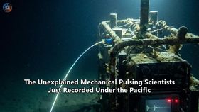 The Unexplained Mechanical Pulsing Scientists Just Recorded Under the Pacific