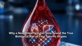 Why a New Blood Test Can Now Reveal the True Biological Age of Your Specific Organs