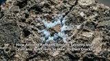 How Ancient Roman Concrete Secretly Uses Volcanic Ash Clasts to Heal Its Own Cracks