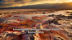 Extremophiles: Biology of Hyper-Saline Environments