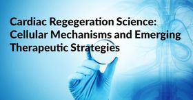 Cardiac Regeneration Science: Cellular Mechanisms and Emerging Therapeutic Strategies