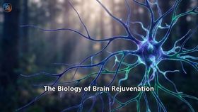 The Biology of Brain Rejuvenation