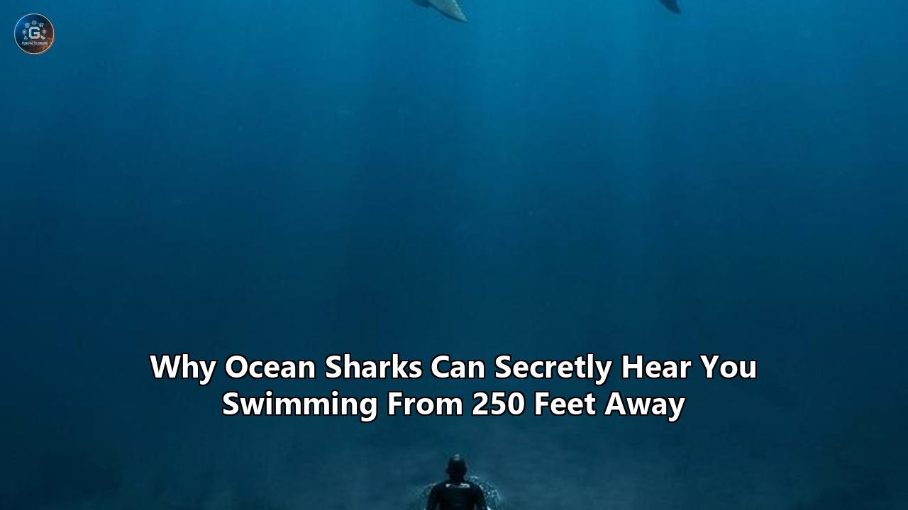 Why Ocean Sharks Can Secretly Hear You Swimming From 250 Feet Away