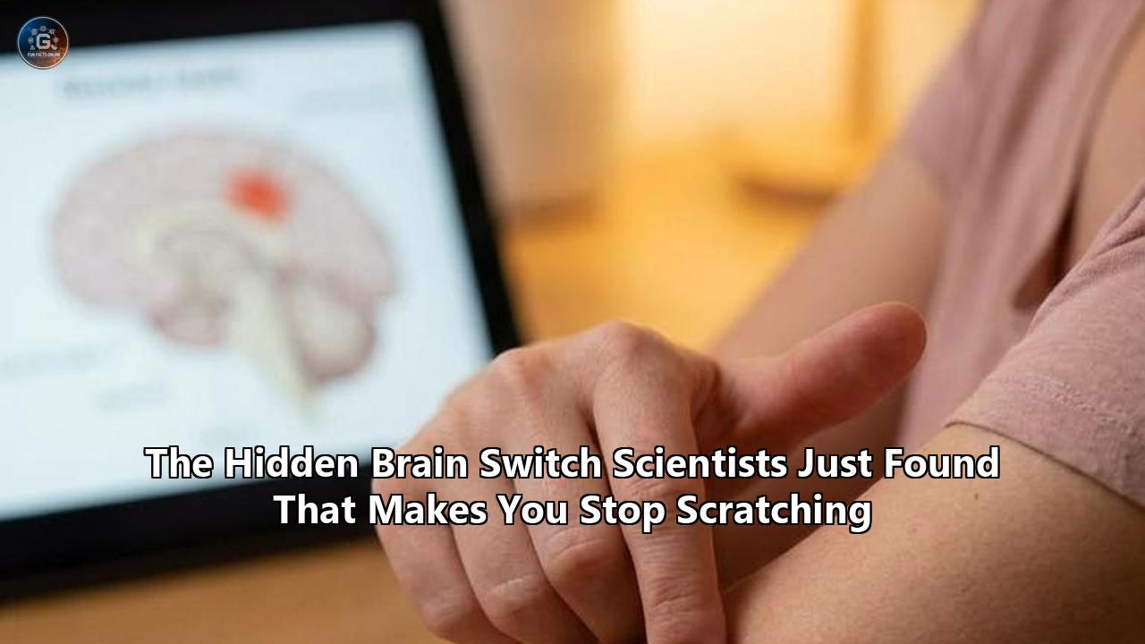 The Hidden Brain Switch Scientists Just Found That Makes You Stop Scratching