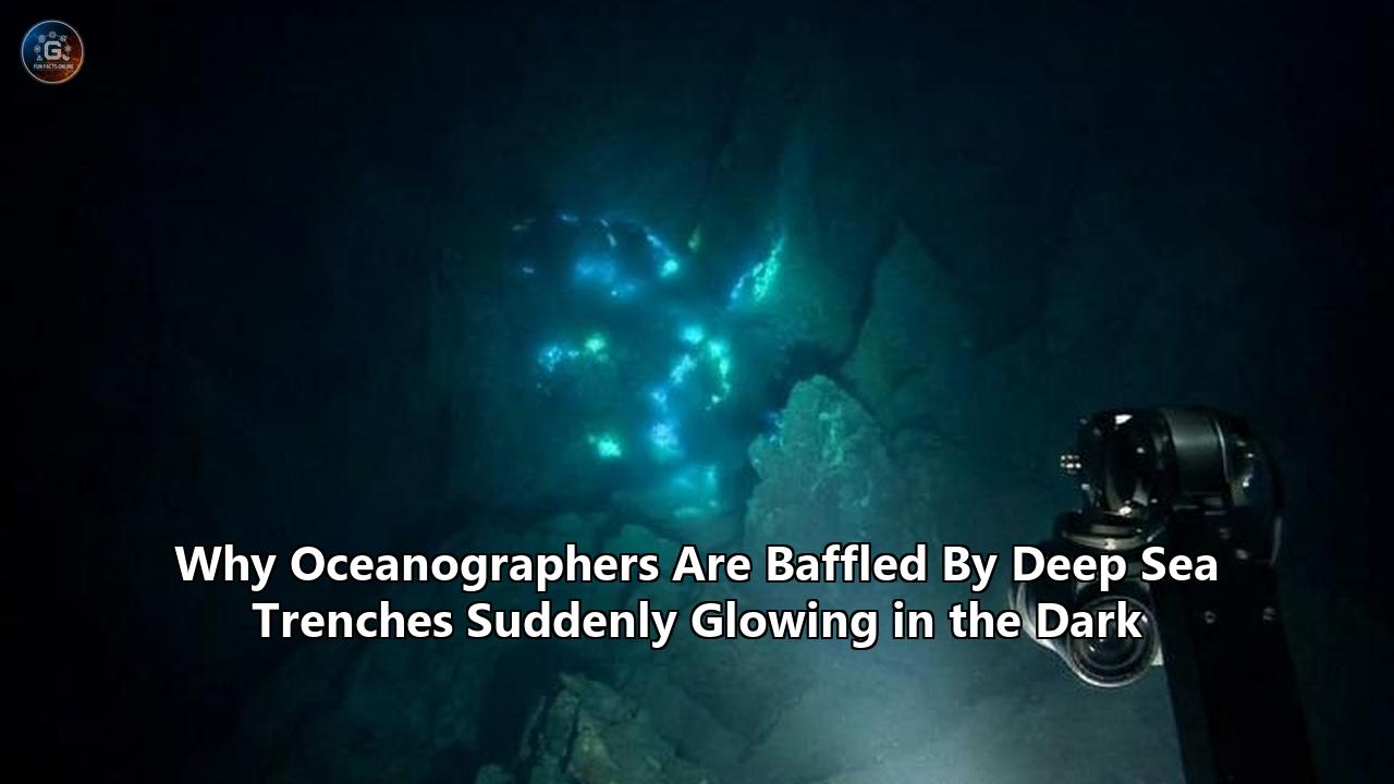 Why Oceanographers Are Baffled By Deep Sea Trenches Suddenly Glowing in the Dark