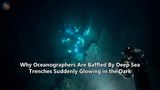 Why Oceanographers Are Baffled By Deep Sea Trenches Suddenly Glowing in the Dark