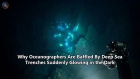 Why Oceanographers Are Baffled By Deep Sea Trenches Suddenly Glowing in the Dark
