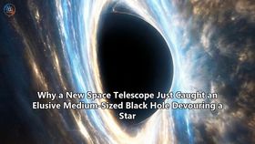 Why a New Space Telescope Just Caught an Elusive Medium-Sized Black Hole Devouring a Star
