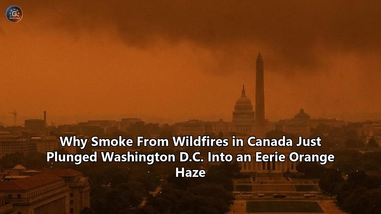 Why Smoke From Wildfires in Canada Just Plunged Washington D.C. Into an Eerie Orange Haze