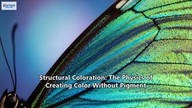 Structural Coloration: The Physics of Creating Color Without Pigment