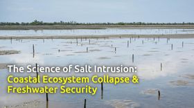 The Science of Salt Intrusion: Coastal Ecosystem Collapse & Freshwater Security