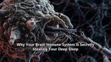 Why Your Brain Immune System Is Secretly Stealing Your Deep Sleep