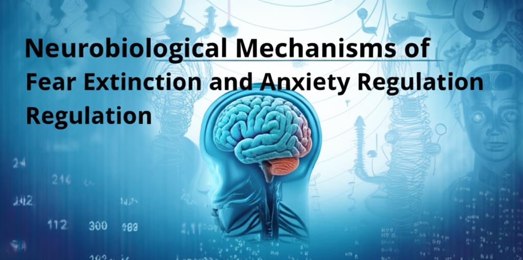Neurobiological Mechanisms of Fear Extinction and Anxiety Regulation