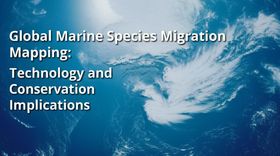 Global Marine Species Migration Mapping: Technology and Conservation Implications