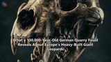 What a 130,000-Year-Old German Quarry Fossil Reveals About Europe’s Heavy-Built Giant Leopards